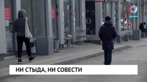 Ни стыда, ни совести