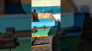 Апилифт Батыр,личный опыт