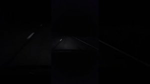 дельфин-надежда