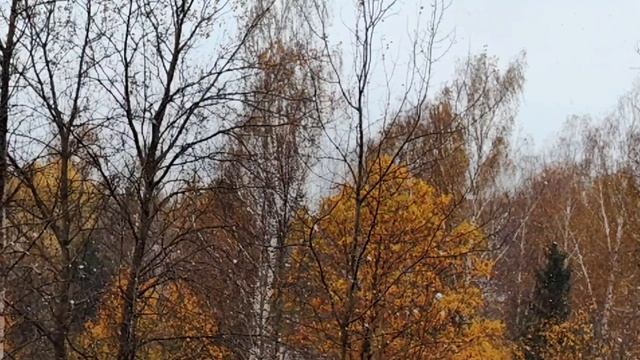 Первый снег в Подмосковье, 14 октября 2024 года)
Прям на покров!)❄🙏 смотреть онлайн