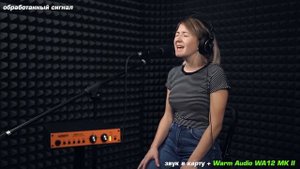 Микрофонный предусилитель Warm Audio WA12 MK II