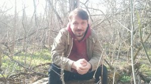 Некоторые вопросы и ответы о мухоморе.