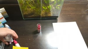 ДЕЛАЕМ ТЕСТЫ. 2 ГОДА БЕЗ ФИЛЬТРА, БЕЗ СВЕТА, БЕЗ УДОБРЕНИЙ, БЕЗ ПОДМЕН/ NO filter, NO CO2, NO Ferts