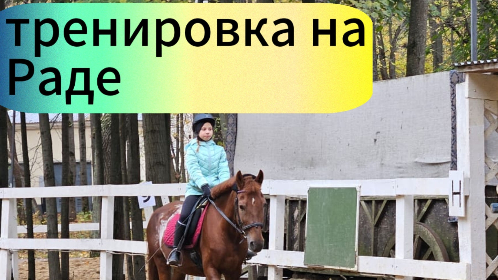 Тренировка на Раде. Первый галоп! Последствия... смотреть онлайн