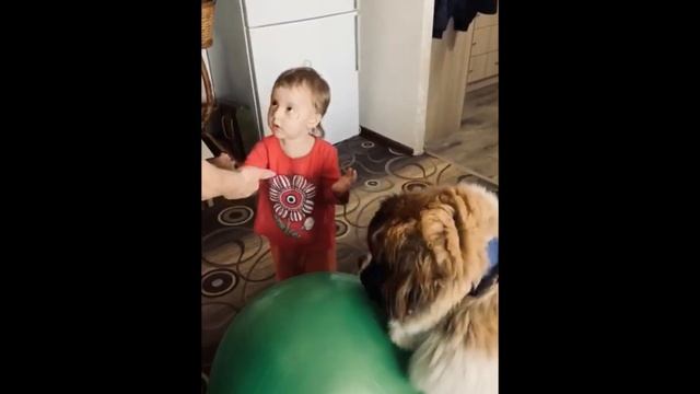 Бабушка плохому не научит! смотреть онлайн