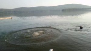 2020_07_10_Агардяш_