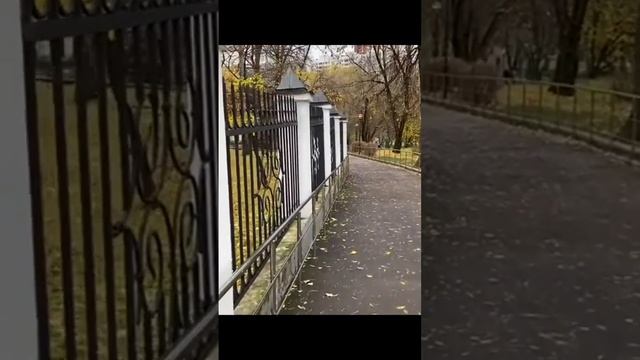 #осеннийжождь #андреймалаховпрямойэфир #песниотвсейдуши #песня  #василийоленев #музыка #приветандрей