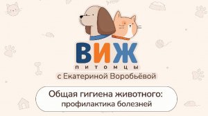 ВИЖ Питомцы. Общая гигиена животного: профилактика болезней