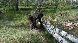 Что случилось с бензопилой ZimAni MS361 за один год?!
