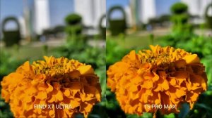The New OPPO Find X7 ULTRA VS iPhone 15 Pro Max | Camera Test  - oppo vs apple?