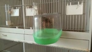 видео друзей