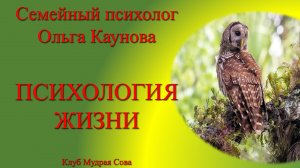 Интервью: О применении продукции компании Сово-Сова. Ольга Перина. Психолог. 03.01.2024