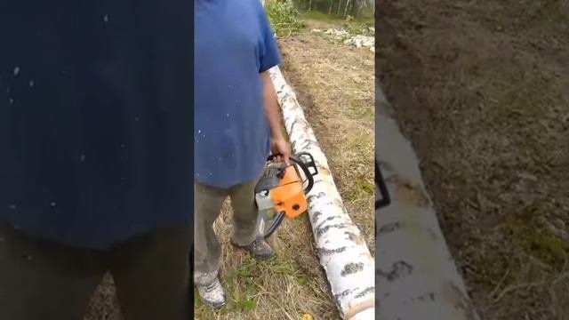 Только прошла обкатку (180 баков) - бензопила ZimAni MS460 #stihl #zimani #бензопила #ремонт #дрова