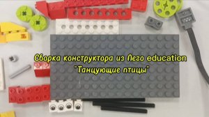 Танцующие птицы из Lego education