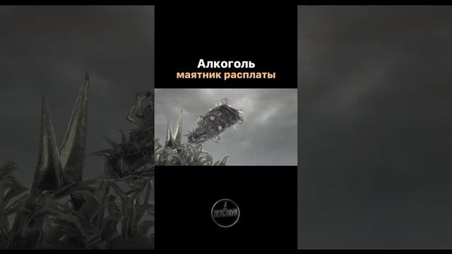 ВЛИЯНИЕ АЛКОГОЛЯ! #вадимзеланд #алкогольнаязависимость