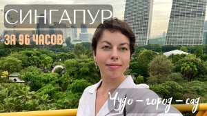 Сингапур на 96 часов без визы: город в саду, богачи на автобусах и чудеса социального инжиниринга