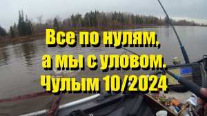 Все по нулям, а мы с уловом. Чулым 10/2024