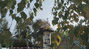 Покров в детском саду