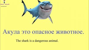 № 29 Учим русский   ЖИВОТНЫЕ   домашние и дикие