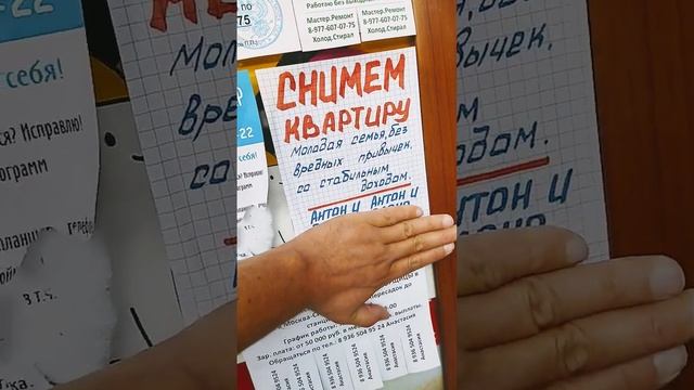 молодая семья