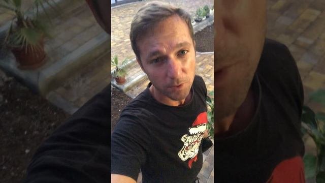 Когда можно и нужно пересаживать крупнолистные гортензии