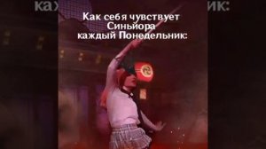 Как чувствует Синьора каждый понедельник...