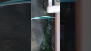 Heater & A/C Blower Motor Replacement Chrysler Town & Country or Dodge Caravan Pt.1