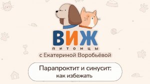 ВИЖ Питомцы Парапроктит и синусит