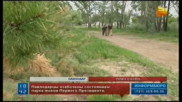 Вечерние новости 31 канала (20:00) 04.06.14