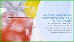 Какие продукты вызывают газообразование и вздутие