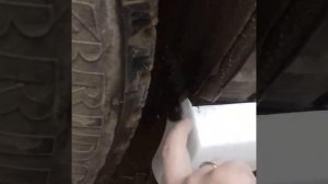 Пороги Piecha на Dodge caliber