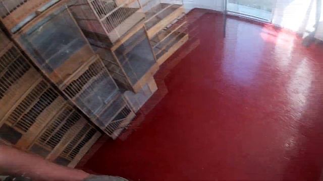 на стройке движуха! смотреть онлайн