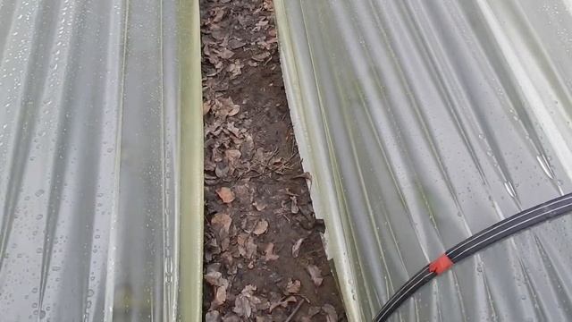 ТУННЕЛИ ПАРНИКИ для клубники. Ранняя ягода при маленьком бюджете. Делаем своими руками.