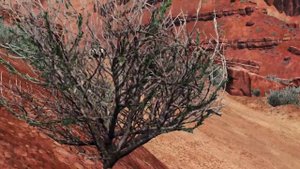 The Car (1977) | BeamNG Drive | BeamNGFilms