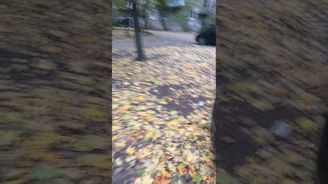 13.10.2024 - самозванная парковка