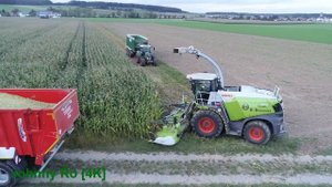 Maishäckseln 2023 Teil 9, LU B. Braunger mit Claas Jaguar 950, Oberland Service  Fendt 939, 724 [4K