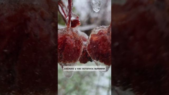 САМАЯ БОЛЬШАЯ РАЗНИЦА МЕЖДУ ДЕНЬГАМИ И ВРЕМЕНЕМ...