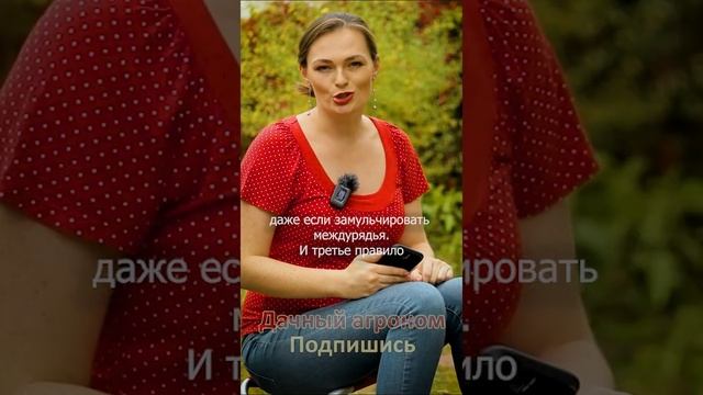 3 правила удобрения ОПИЛКАМИ