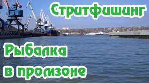 Стритфишинг / Рыбалка в промзоне / Crazy fish Arion ASRE832LS / Спиннинг / Приманка ТАНТА /