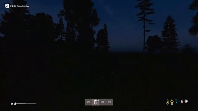 Dayz PNW
