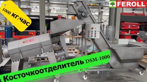Косточкоотделитель DE-STONING  DSM-1000 от компании Feroll