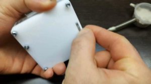 Aphaenogaster Subterranea. ВАНДАЛИЗМ ИЛИ ПРИНУДИТЕЛЬНОЕ ПЕРЕСЕЛЕНИЕ МУРАВЬЕВ В НОВЫЙ ФОРМИКАРИЙ.