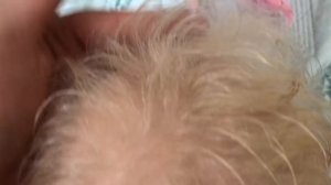 РЕБОРН КУКЛЫ. ОБЗОР НА РЕБОРН КУКЛУ ЭВЕЛИНУ . REBORN DOLL. M &M  .