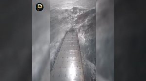 СЕДОЙ ОКЕАН