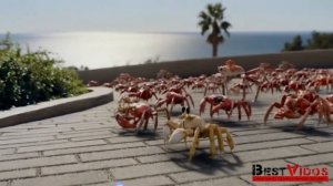 Крабы и Хаммер ★ Режим "Походка Краба" ★ CrabWalk на новом GMC HUMMER EV ★ Креативная реклама