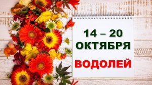 ♒ ВОДОЛЕЙ. 🏵 С 14 по 20 ОКТЯБРЯ 2024 г. 🌼 Таро-прогноз 💝