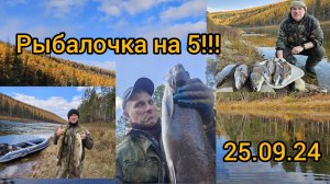 Хороша рыбалочка !!! Усть-Кут. Сибирь!!! #рыбалка #река #ленки #сибирь #природа