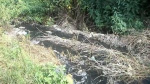 Рузаевка Сегодня. Рузаевский район с,Красное сельцо