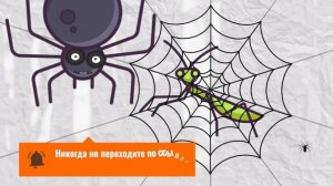 Социальный ролик "Профилактика интернет-мошенничества"
