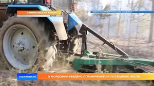 В Мордовии введено ограничение на посещение лесов